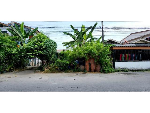 ขายตึก ม.การเคหะคลอง 7 ลำผักกูด ธัญบุรี ปทุมธานี