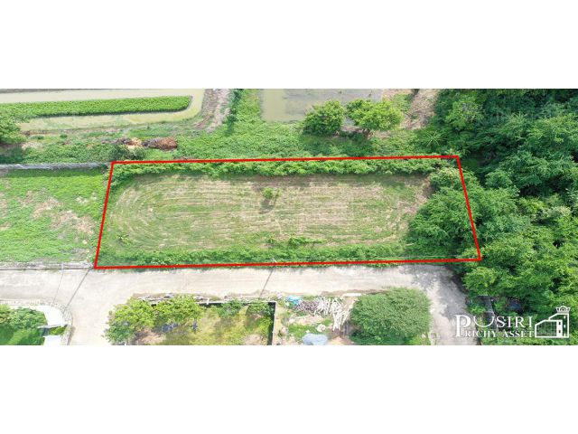 ที่ปลูกบ้าน 242 ตร.ว. ใกล้ ถ. บรม เพียง 188 ม. หน้ากว้างสวย 47 เมตร ติดตะวันออก สะดวกสบายด้วย Design Village / Starbuck/