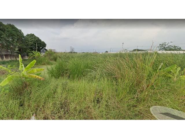 ขายที่ดินเนื้อที่ 359 ตรว. พัฒนาการตัดใหม่ อ่อนนุช