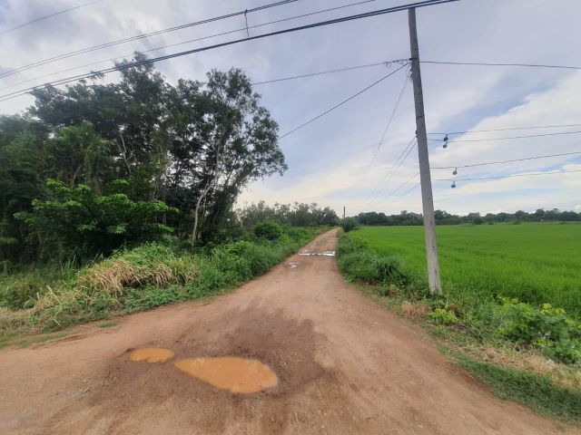 ขายที่ดินเกาะขนุน 6 ไร่ ติดถนนลาดยาง ใกล้แยกนาน้อย - 3 กม. จ.ฉะเชิงเทรา