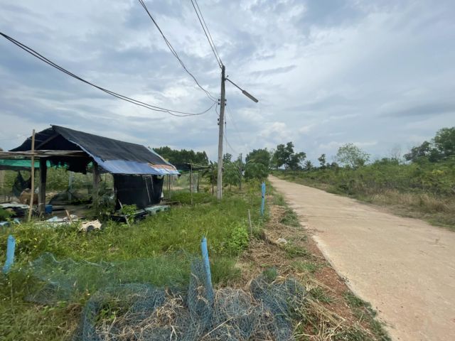 ขายที่ดินสีม่วงศรีมหาโพธิ์ 4 ไร่ ติดถนนคอนกรีต ใกล้นิคมโรจนะปราจีนบุรี - 2.1 กม. จ.ปราจีนบุรี