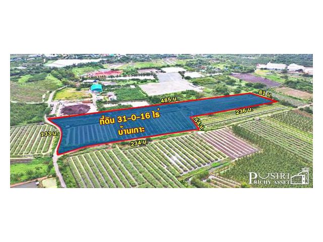 ขายที่ 31ไร่ หน้ากว้างมาก 133 เมตร ราคาคุ้มสุดในตลาด เชื่อมต่อหลายเส้นทาง ถนนสวนส้ม บางปลาและพระราม 2