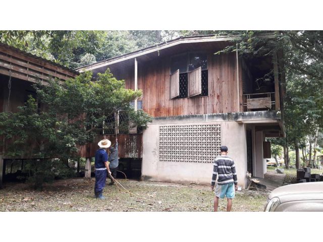 PK442ให้เช่า ที่ดินใกล้ ม.ราชมงคลล้านนา มช. ซอยพระนาง