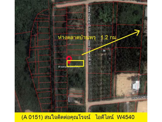 (A 0151)	ที่ว่าง	ต.บ้านพรุ	อ.หาดใหญ่	ติดถนน	ซอย	หน้ากว้าง	8 เมตร	พื้นที่	62 ตรว.