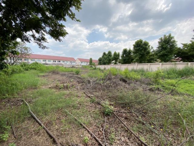 PK447ให้เช่าที่ดินถมแล้วให้เช่าระยะยาวซอยบัวดี ท่าข้าม