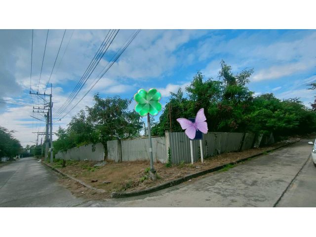 ขายที่ดินสวย 209 ตร.ว. แปลง หัวมุม ถมแล้ว ใกล้ตลาดไฟฟ้า ถนนพระยาสัจจา ชลบุรี