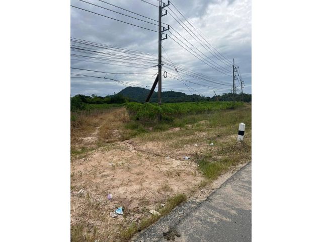ที่ดินตรงข้ามสวนสาธารณะหนองค้อ 4-2-86ไร่ ไร่ละ10ล้าน ต.หนองขาม อ.ศรีราชา จ.ชลบุรี