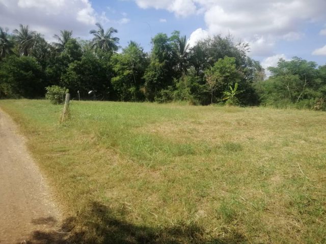 ขายที่ดินบ้านวังหิน ตำบลบ้านโพธิ์ อำเภอเมือง จังหวัดนครราชสีมา 2-1-30 ไร่