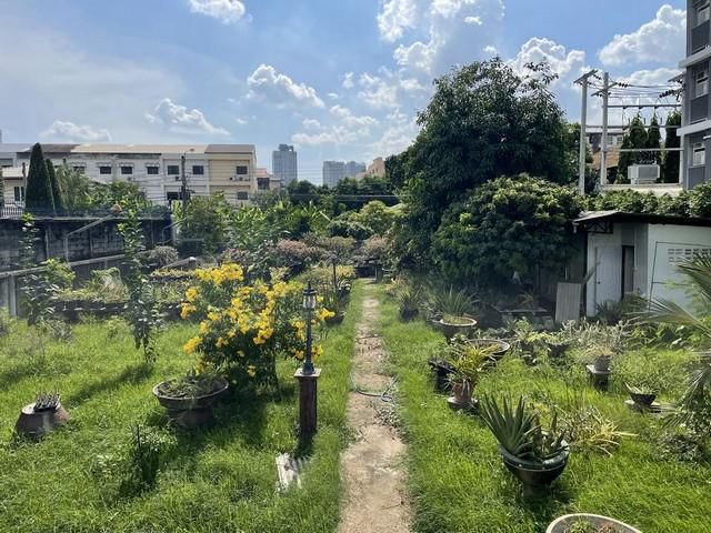 ขายที่ดิน 209 ตรว ถนนสุขุมวิท 77 อ่อนนุช ใกล้ BTS