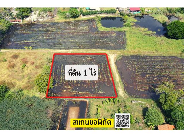 . .ที่ดินเปล่า!! ซอยวัดหนองบัวขาว ในหมู่บ้านเลคบุษบา เนื้อที่ 1 ไร่. .