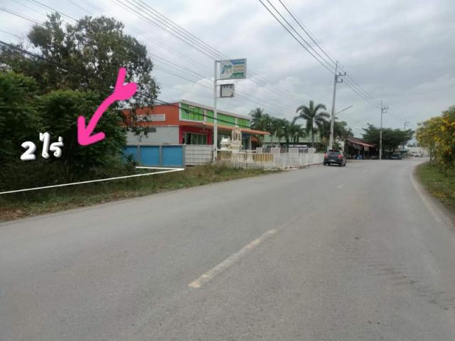 ขายที่ดินไผ่ขวางเมืองสุพรรณบุรี2ไร่ ติดถนนลาดยาง