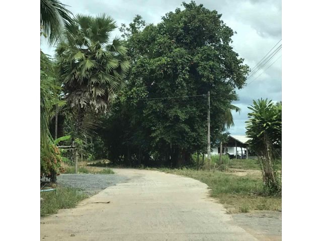 ขายที่ดินทำเลดีใกล้หาดชะอำ จังหวัดเพชรบุรี
