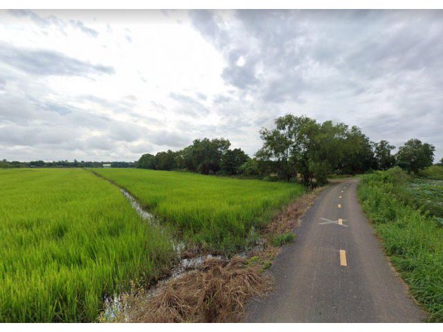 ขายที่ดินไม้เค็ด 10 ไร่ ติดถ.ลาดยาง ติดหนองชุมแสง ใกล้ถ.เส้นสุวรรณศรตัใหม่ 33 - 500 เมตร เมืองปราจีนบุรี
