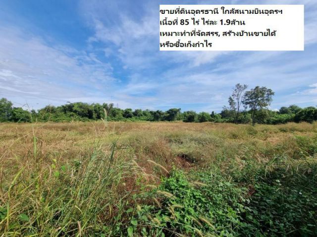 ขายที่ดินอุดรธานี ใกล้สนามบินอุดรฯ เนื้อที่ 85 ไร่ เหมาะทำที่จัดสรร, สร้างบ้านขายได้ หรือซื้อเก็งกำไร