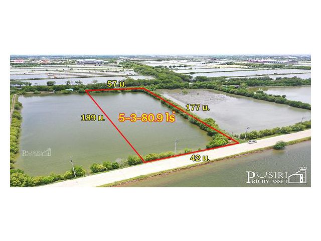 ที่สวยไร่ละ 2.6 ล้าน สร้างโรงงานได้ใกล้กรุงเทพ เกือบ 6 ไร่ ขอใบ รง.4 ได้ ใช้เทรลเลอร์เข้า-ออกสะดวก เส้นบางขุนเทียน  KK51