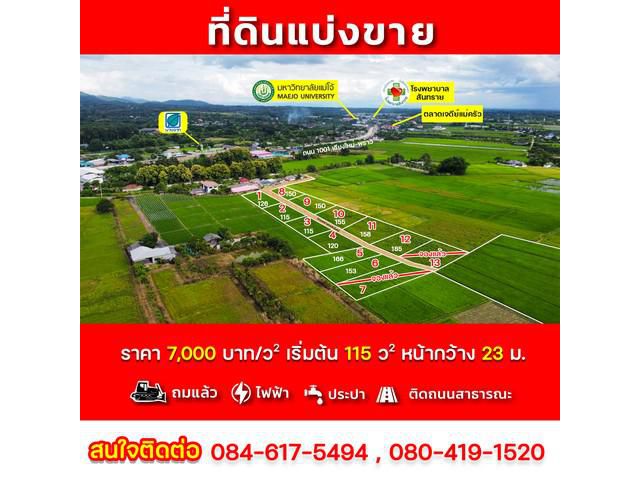 ที่ดินแบ่งขาย115ตรว.เน้นวิวเหมาะสำหรับสร้างบ้านพัก