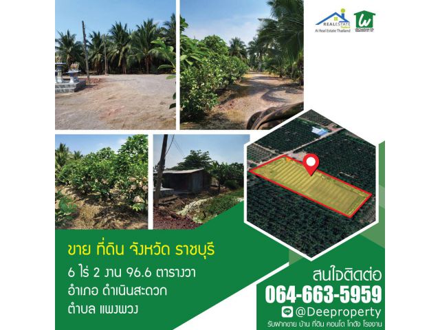 ขายที่ดินเปล่า ราชบุรี 6-2-96.6 ไร่ (2,696.6 ตรว) อ. ดำเนินสะดวก จ.ราชบุรี ทำการเกษตร ทำสวน ราคาถูก!