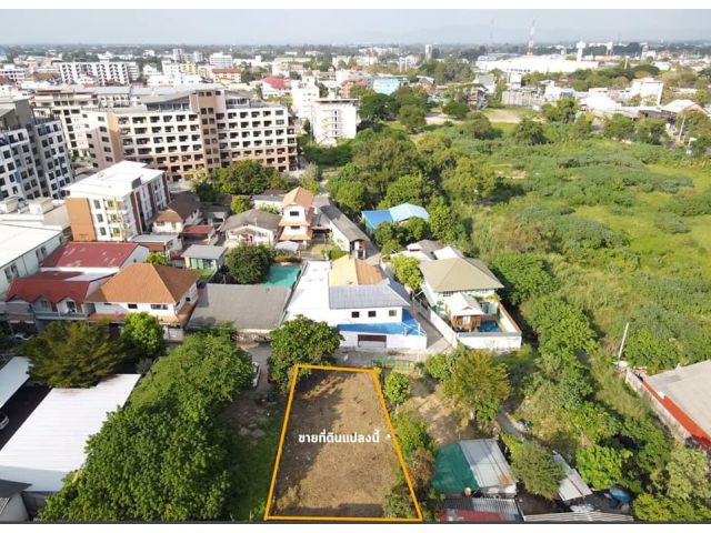 ขายที่ดินกลางเมืองเชียงใหม่ ต.ช้างเผือก  อ.เมืองเชียงใหม่
