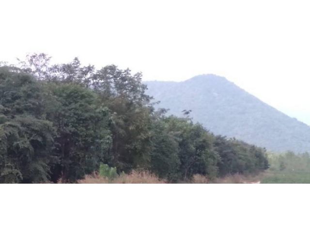 ขายที่ดินโฉนด 97 ไร่ บนเนิน วิวเขาใหญ่ ห่างถนนลาดยาง 200 เมตร