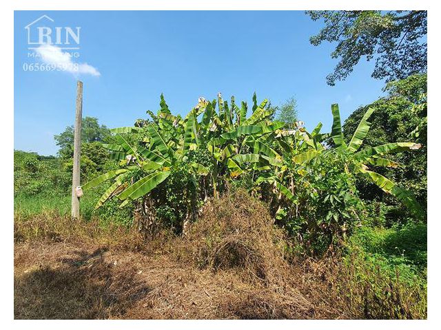 R014-041 ที่ดินสวนลำใย ด้านข้างติดลำเหมืองสาธารณะ ที่ตั้ง ซอยเทศบาล ต. สันทรายหลวง อ. สันทราย จ.เชียงใหม่