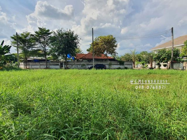 ที่ดินสี่แยกแม่เหียะ อ.เมือง 205 ตรว. 28,000/ตรว บ้านนิมมานนรดี ติดถนนวงแหวน ตรงข้ามบิ๊กซี-หลังแม็คโคร