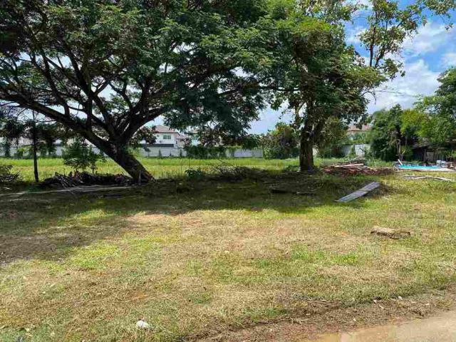 ขายที่ดินที่สวยทำเลดี พื้นที่ขนาด 234 ตารางวา