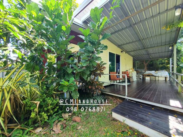 บ้านสวนผลไม้น่าอยู่ ติดเขต อ.เมือง ใกล้สนามบินแค่ 7 กม. ใกล้ถนนมหิดล 2 กม. ทำบ้านพัก โฮมสเตย์ คาเฟ่ได้
