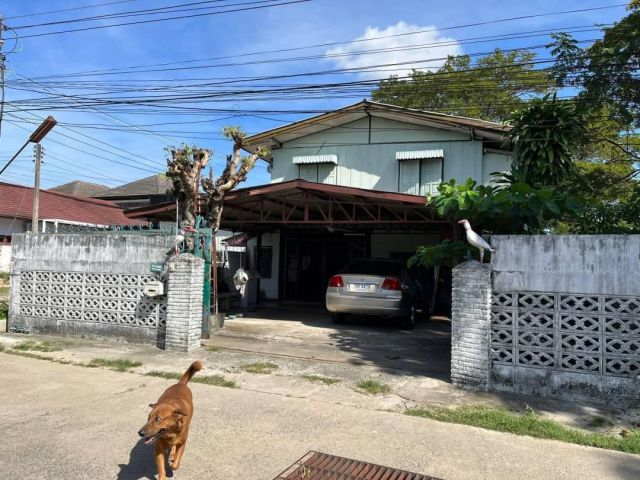 บ้านในซอยเทคโน/ขามใหญ่