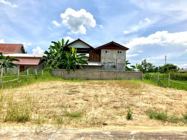 ขายที่ดินที่ดินถมแล้ว  บ้านร้อง ม. 11 ต.ร้องวัวแดง อ.สันกำแพง ที่วิวสวย ติดทุ่งนา ห้อมล้อมด้วยภูเขา ถมแล้วสูง 50 cm. น้