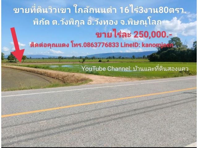 ที่ดินวิวเขา ใกล้ถนนดำ 16ไร่3งาน80ตรว. ต.วังพิกุล อ.วังทอง จ.พิษณุโลก