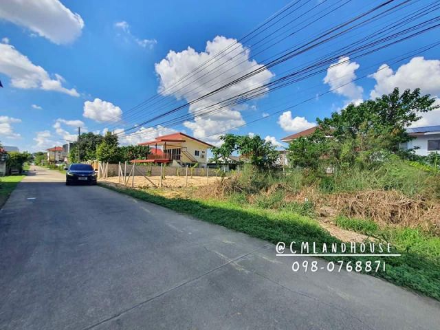 ขายที่ดิน 99 ตรว. ต.หนองหอย อ.เมือง ใกล้วงแหวน ใกล้ถนนมหิดล ใกล้ รร.วารี มงฟอร์ต ใกล้สนามบิน 7 กม (น้ำไม่ท่วม)