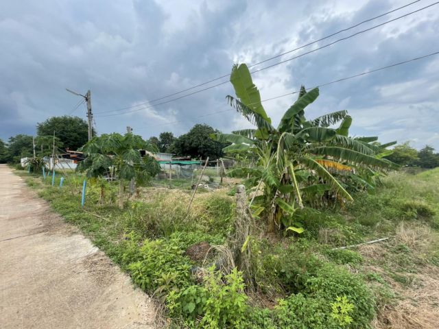 ขายที่ดินสีม่วงศรีมหาโพธิ์ 4 ไร่ ติดถนนคอนกรีต ใกล้นิคมโรจนะปราจีนบุรี - 2.1 กม. จ.ปราจีนบุรี