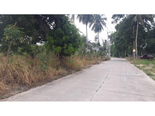 ที่ดิน 3 ไร่ ตะเคียนเตี้ย ในซอยตรงข้ามเทศบาลตะเคียนเตี้ย