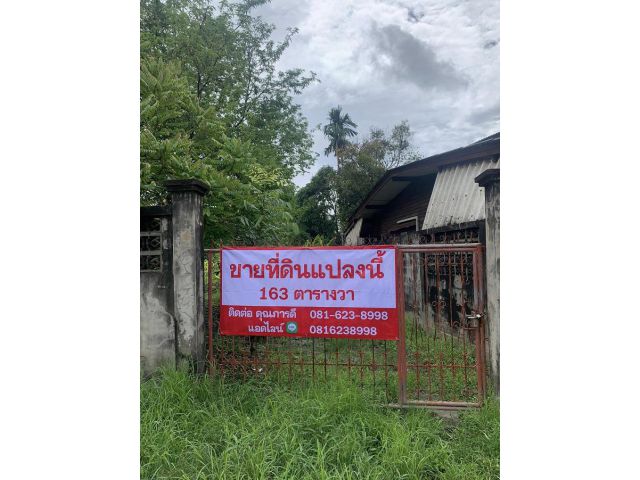 ขายที่ดิน 163 ตารางวา  ซอยเฉลิมพระเกียรติ 38