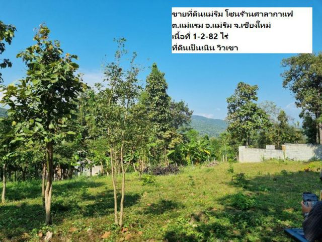 ขายที่ดินแม่ริม โซนร้านศาลากาแฟ ต.แม่แรม อ.แม่ริม เนื้อที่ 1-2-82 ไร่ ที่ดินเป็นเนิน วิวเขา