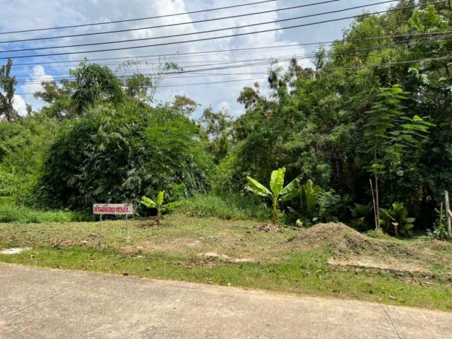 PK459ขายที่ดินเปล่า 200 ตรว. ในหมู่บ้านเอื้อสุข ซอยพัฒนาการ 58