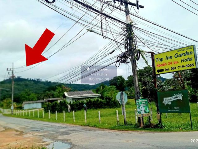 PK471ขาย ที่ดิน ภูเก็ต 20 ไร่ บนเนินเขา สวย วิวทะเล ต.ศรีสุนทร อ.ถลาง ที่ดิน น.ส.3