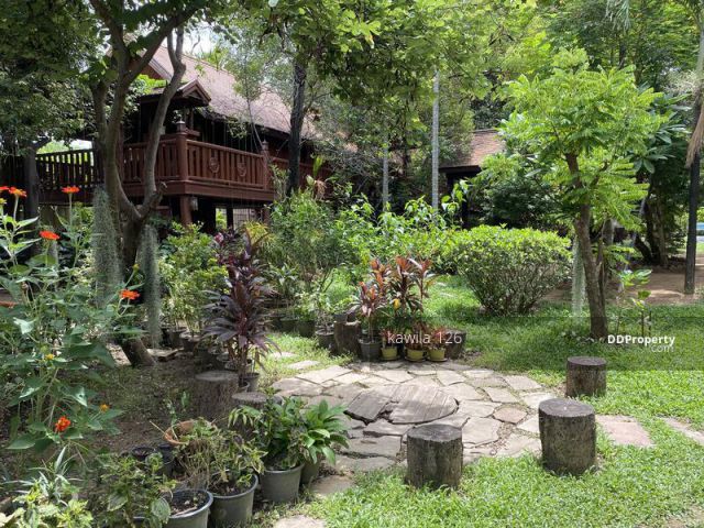 Rent Guest House down town 6-12 months for contract Chiang Mai