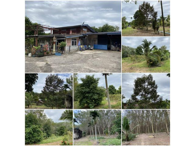 บ้านพร้อมสวนผสมโฉนด 18 ไร่ ติดถนนดำ/ใกล้สุขุมวิทราคาน่าซื้อ