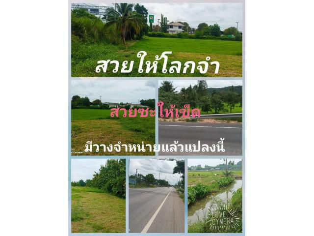 เป็นที่แน่นอนแล้วว่า แปลงนี้เป็นโอกาสที่พลาดไม่ได้ด้วยประการทั้งปวง เป็นทั้งที่อยู่อาศัย ธุรกิจค้าขาย เป็นไปได้จนถึงอนาคต สำหรับท่านที่มองกาลไกล