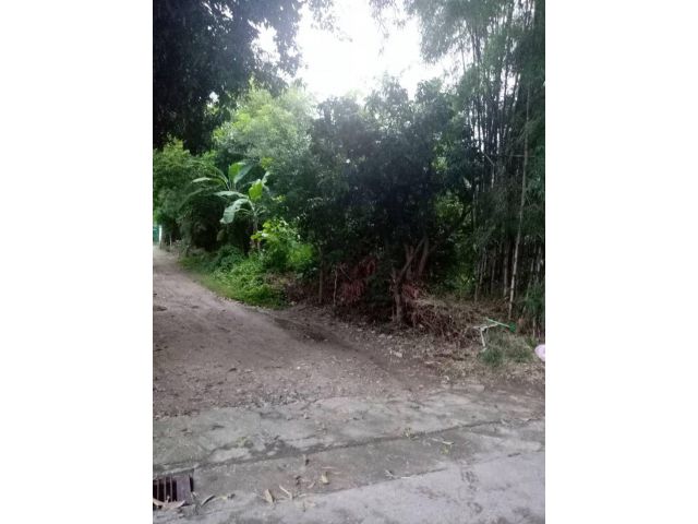 L098-ขายที่ดินแบ่งขาย 100 ตรว. (ต.วัดเกต อ.เมืองเชียงใหม่)