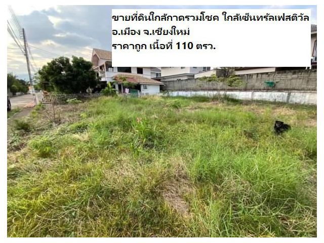ขายที่ดินใกล้กาดรวมโชค ใกล้เซ็นทรัลเฟสติวัล จ.เชียงใหม่ ราคาถูก เนื้อที่ 110 ตรว.