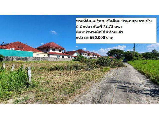 ขายที่ดินแม่ริม จ.เชียงใหม่ บ้านหนองอาบช้าง มี2แปลง เนื้อที่ 72,73 ตร.ว หันหน้าทางทิศใต้ #ที่ถมแล้ว