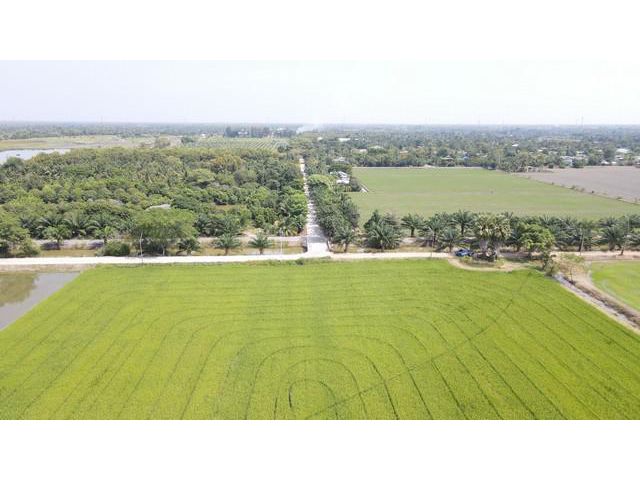 ขายที่ดินแปลงใหญ่ สวยมาก คลอง 8 ฝั่งตะวันออก