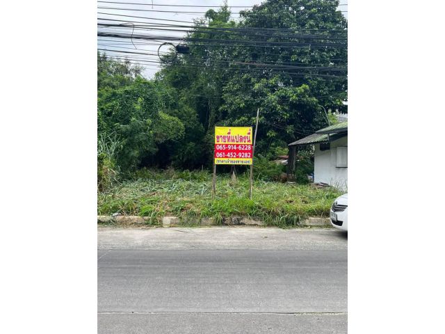 ที่ดินบางแสนติดถนนมาบมะยม 56ตรว. 4.5ล้าน ต.แสนสุข อ.เมือง จ.ชลบุรี