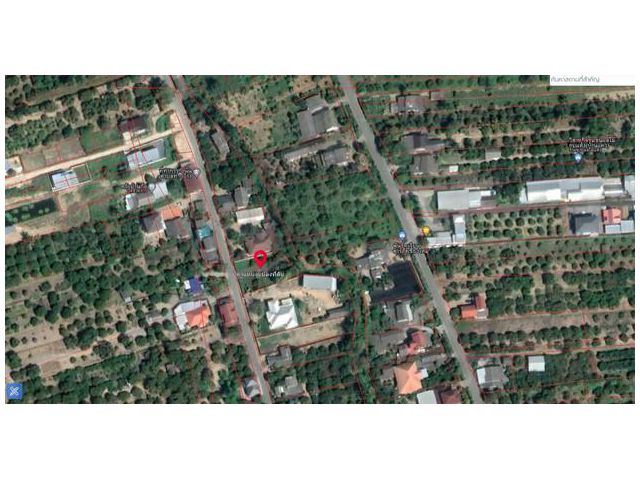 ขายที่ดินสวย สามารถลงทุนทำเป็นจัดสรรสร้างบ้าน