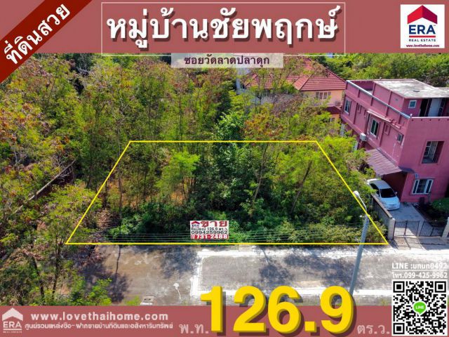 ขายที่ดิน ม.ชัยพฤกษ์ ถ.วัดลาดปลาดุก อยู่ใกล้วงแหวนกาญจนาภิเษก พื้นที่126ตรว. รูปทรงแปลงสวย เหมาะสำหรับปลูสร้างบ้านพักอาศ