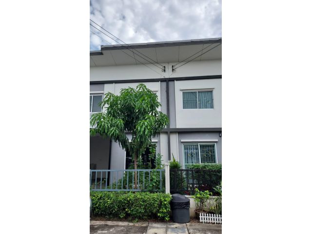 ทาวน์โฮม 2 ชั้นทำเลลำลูกกา #หมู่บ้านลลิลทาวน์ไลโอ ลำลูกกาคลอง 4-5 พร้อมอยู่ ติดวอลเปเปอร์ทั้งหลัง ใกล้ตลาดลาดสวาย