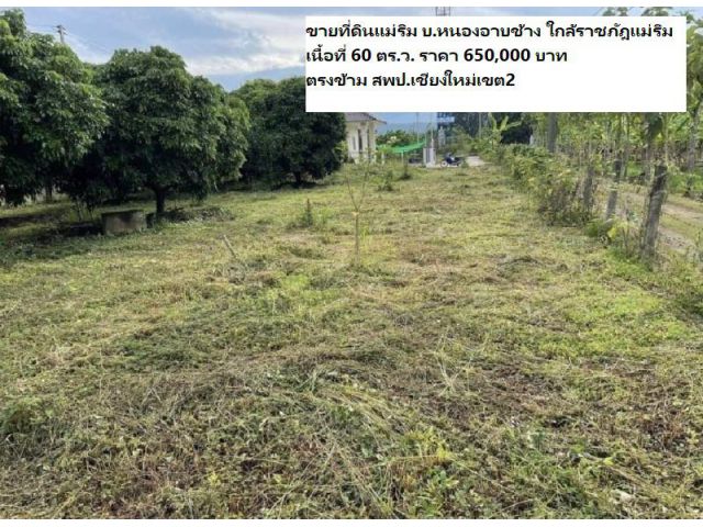 ขายที่ดินแม่ริม บ.หนองอาบช้าง ใกล้ราชภัฎแม่ริม เนื้อที่ 60 ตร.ว. ตรงข้าม สพป.เชียงใหม่เขต2