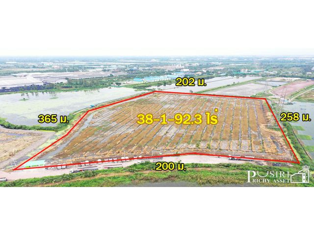 ที่สวยสร้างโกดัง 38 ไร่เศษ หน้ากว้างถึง 200 ม. ติดถนนที่รถเทรลเลอร์เข้าออกสบาย ใกล้ถนนบ้านแพ้ว พระราม 2 คุ้มค่ากว่าที่อื